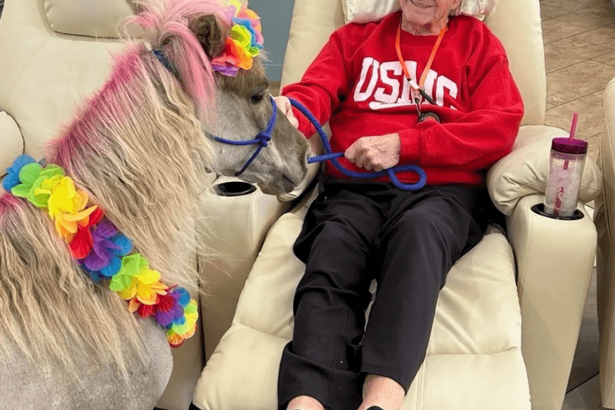 hummingbird-retreat-gallery-2